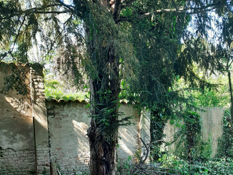 FONTANELLATO - FABBRICATO TRIFAMILIARE IN CENTRO STORICO - FO 377